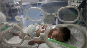 Miracle in Gaza: Baby Delivered Alive from Dying Mother's Womb