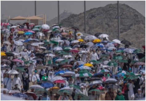 Hajj Tragedy: Over 550 Pilgrims Perish in Scorching Heat, Majority Egyptians