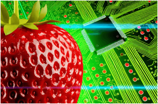 OpenAI plans to release 'Strawberry' for ChatGPT in two weeks