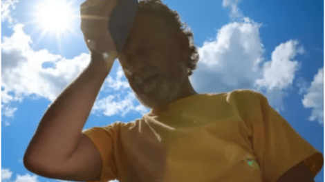 Heat Stress: The Silent Killer in Scorching Weather Conditions